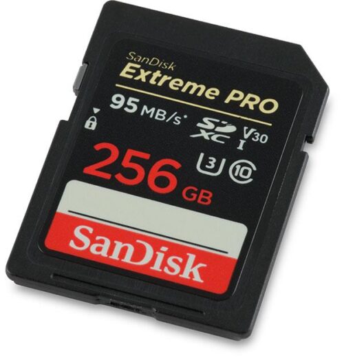 113110-01-SANDISK-EXTREME-PRO-SD-256GB-XC.jpg